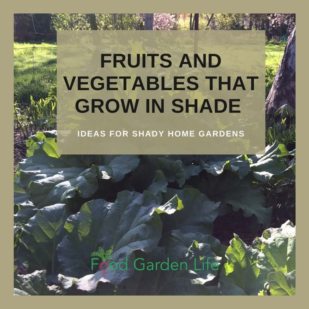 Vegetables that grow clearance in shade